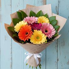 Букет цветов из:  Герберы #REPLACE_PRED# Чурапче