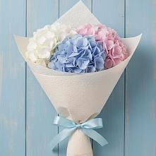 Букет цветов из:  Гортензия в Чурапче