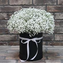 Цветочная композиция из Гипсофила в шляпной коробке #REPLACE_PRED# Чурапче