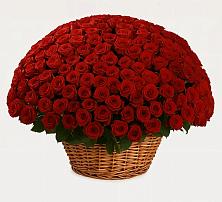 Премиум букет из: Розы в Чурапче